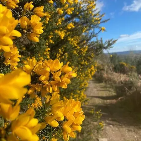 Murphy's Mountain Clonmel